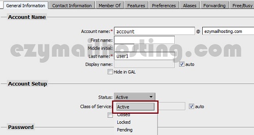 active-account-on-zimbra